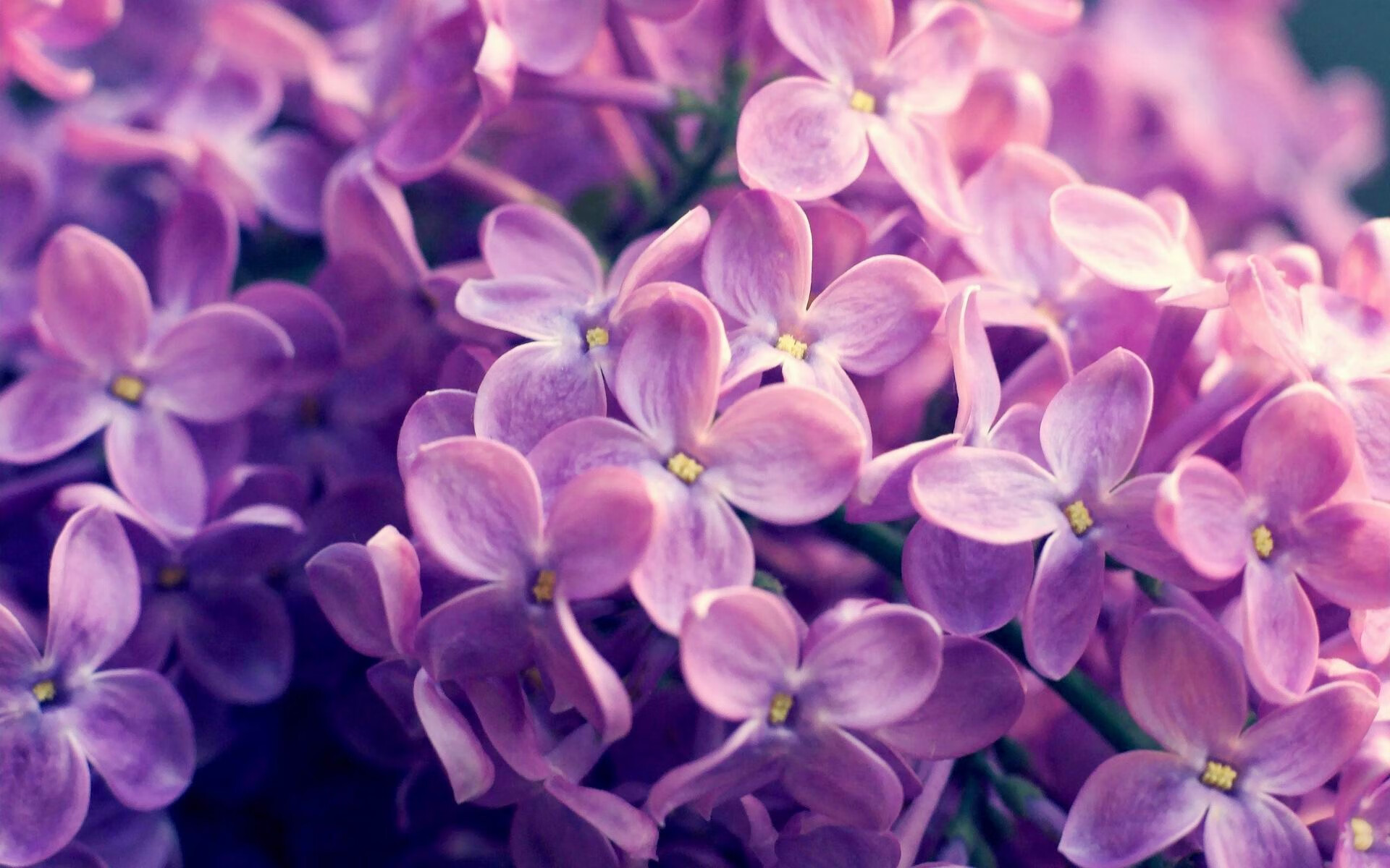 爱游戏官网网页版入口-热火强调投篮选择质量胜过数量,篮球热火