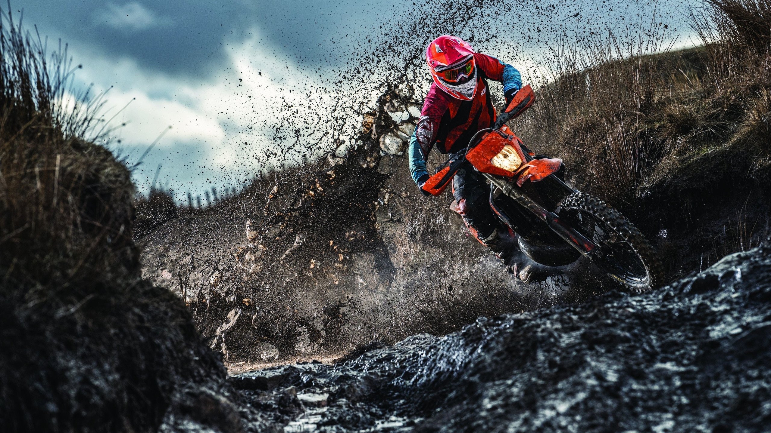 青少年“成长+技能+素养”体系在行业内不断完善，行业发展持续加快